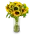 Bouquet of sunflowers